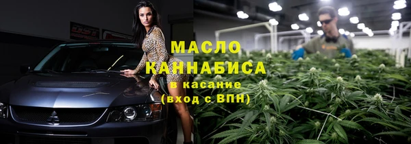 индика Арсеньев
