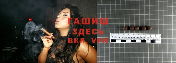 индика Арсеньев