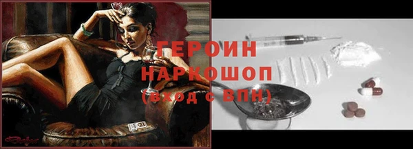 индика Арсеньев