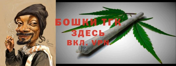 индика Арсеньев