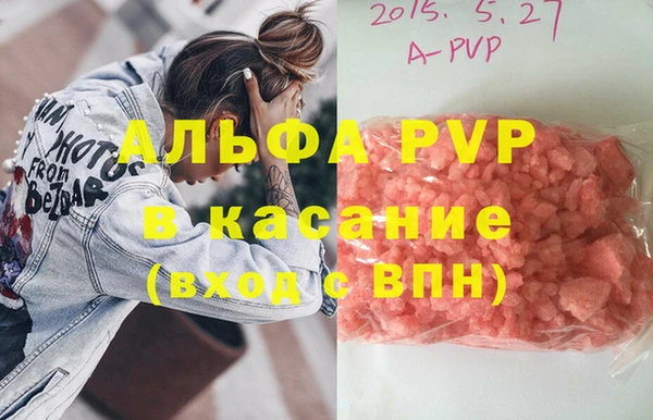 индика Арсеньев
