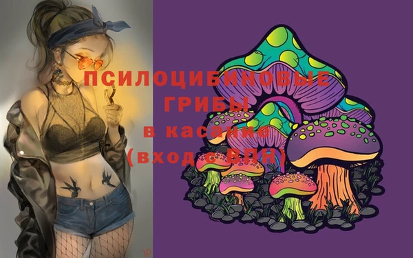 индика Арсеньев