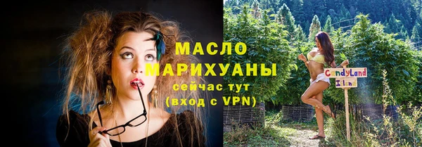 индика Арсеньев