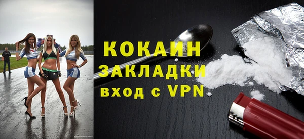 индика Арсеньев
