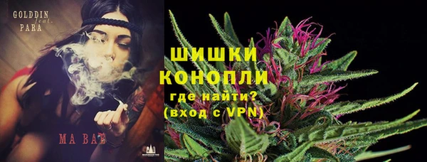 индика Арсеньев