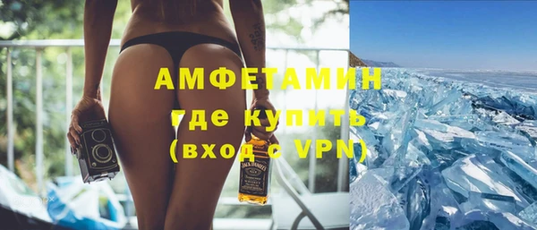 индика Арсеньев