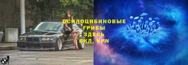 гидра Армянск