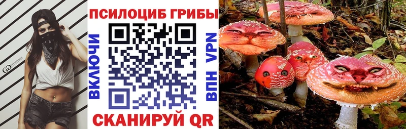 Псилоцибиновые грибы Psilocybine cubensis  Тавда 
